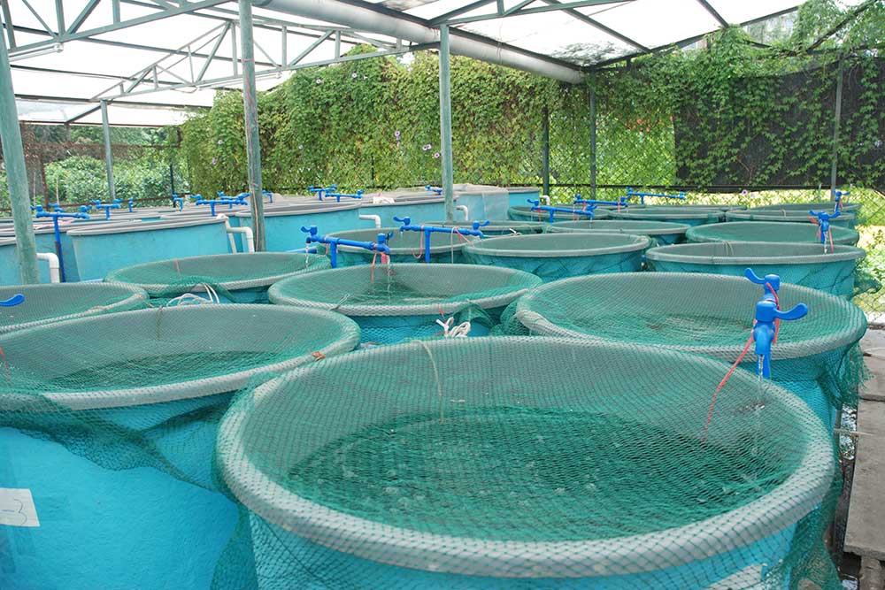 Fish Farming Oxygen solutions at NOVAIR USA