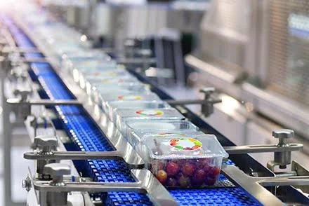 food being packaged on an assembly line