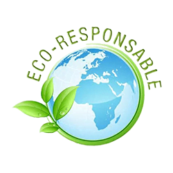 eco-responsable with earth icon